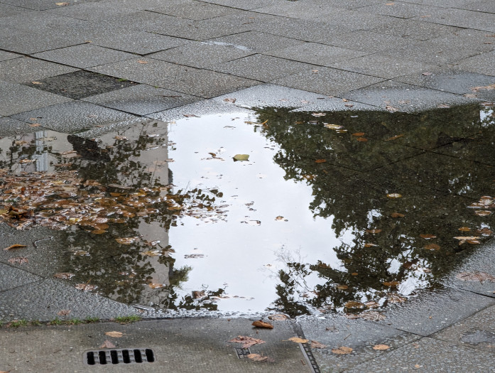 ... und dem Pixel 7 Pro. (Bild: Tobias Költzsch/Golem.de)